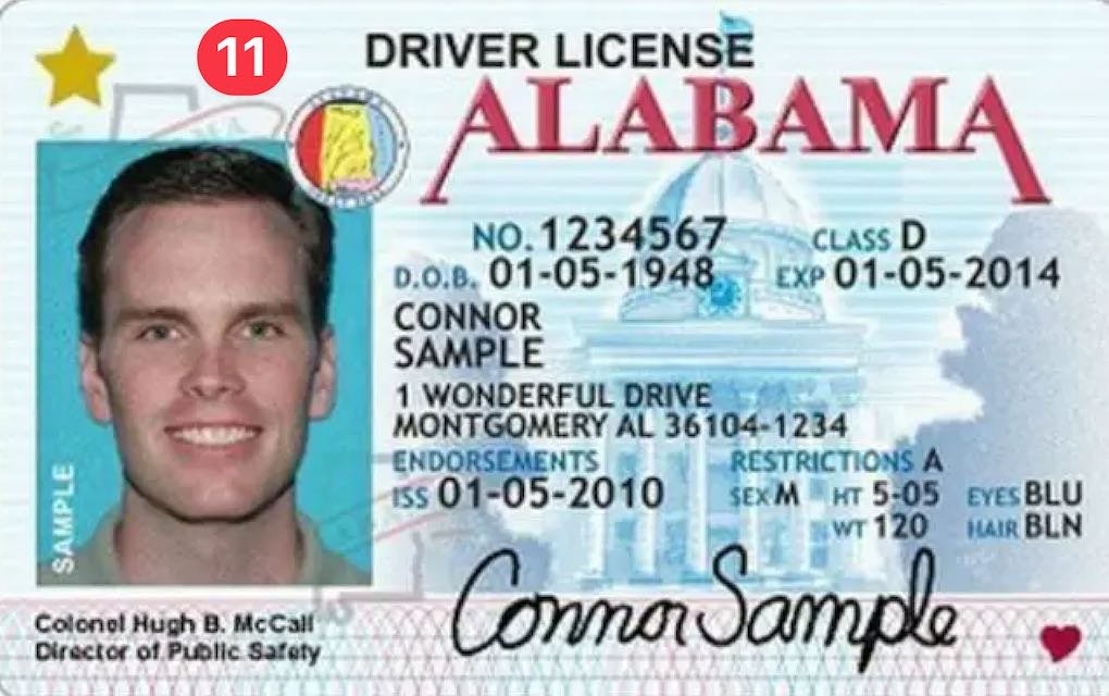 Drivers licence Alabama example